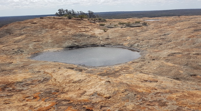 Gnammas near the top of Cave Hill.