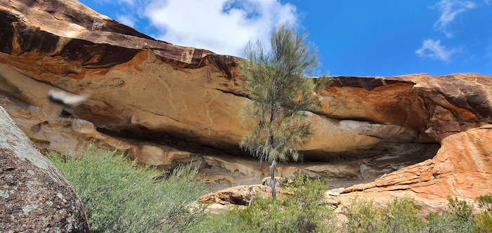The cave at Cave Hill.