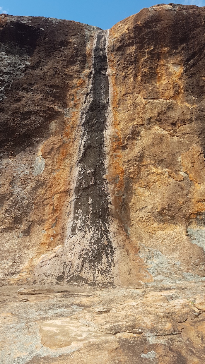 Fascinating example of nature at work.