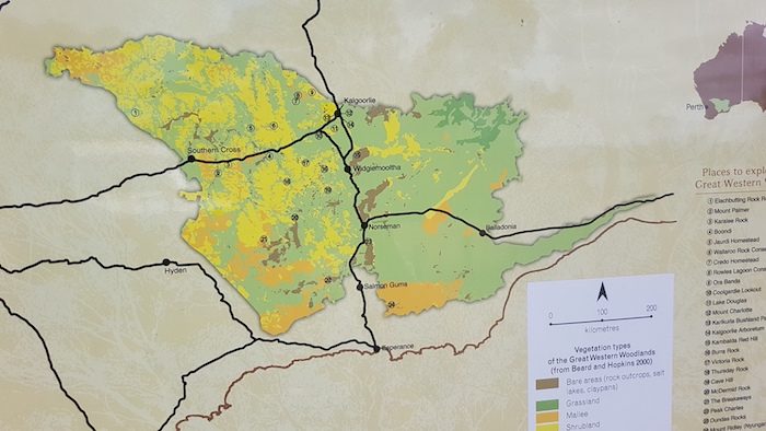 Great Western Woodland