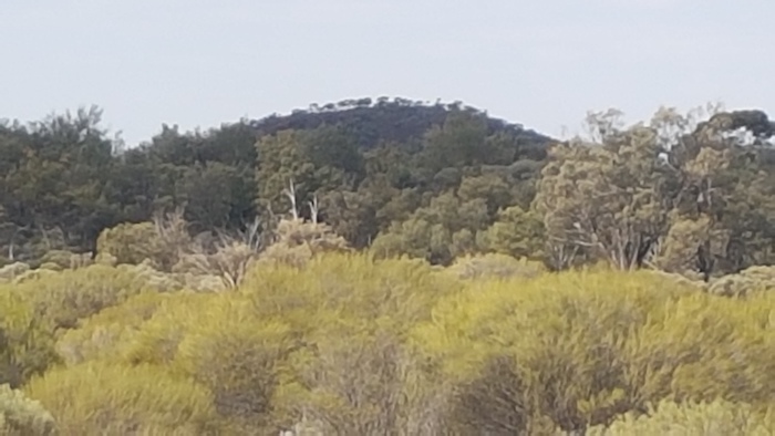 Mount Quin. Hunt named this hill after Mr Lewis Quin, describing it as “the highest trap hill NE of Mt Monger.”