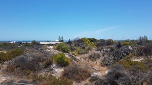 Ocean view from shack.