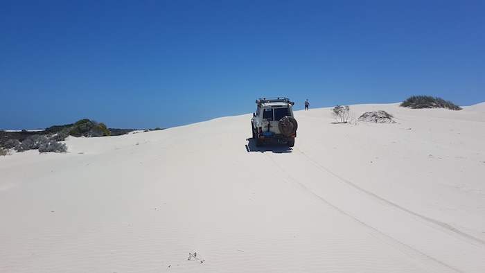 Mushy went exploring on the dunes north of Gum Tree Bay.