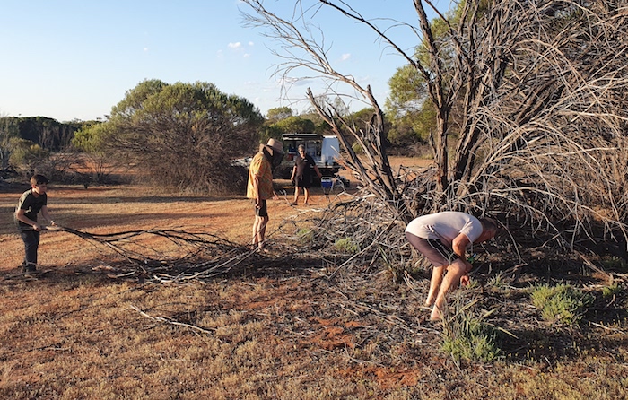 Collecting firewood at Weowanie.