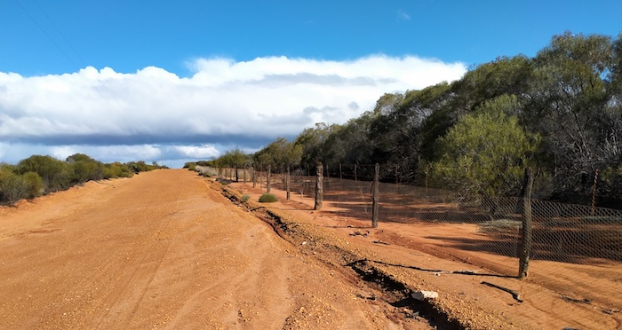 Vermin Proof Fence at Koorarawalyee.