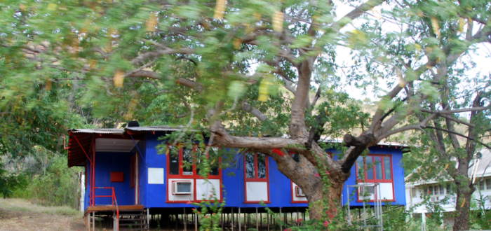 Elevated to get air flow underneath. Photo by Kim Epton.