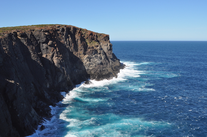 Torbay Head. Photo by Kim Epton.