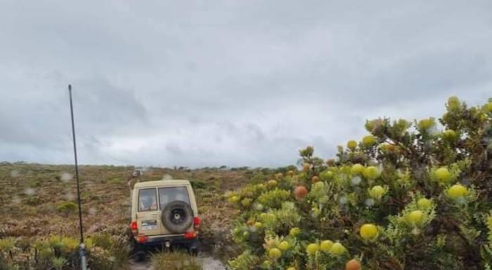 Alan and Janine in their Troopy on the banksia track.